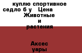 куплю спортивное седло б/у › Цена ­ 5 000 -  Животные и растения » Аксесcуары и товары для животных   